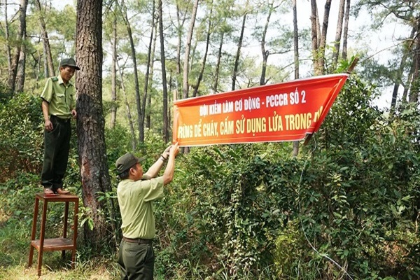 Biện pháp phòng tránh cháy rừng