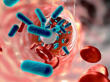 Laminate AICA: Tiêu diệt vi khuẩn tụ cầu - Bảo vệ sức khỏe